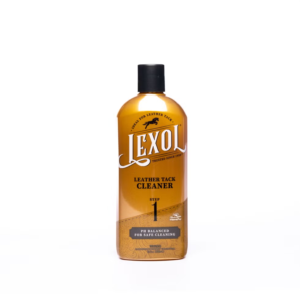 Top Car Leather Cleaners for 2025